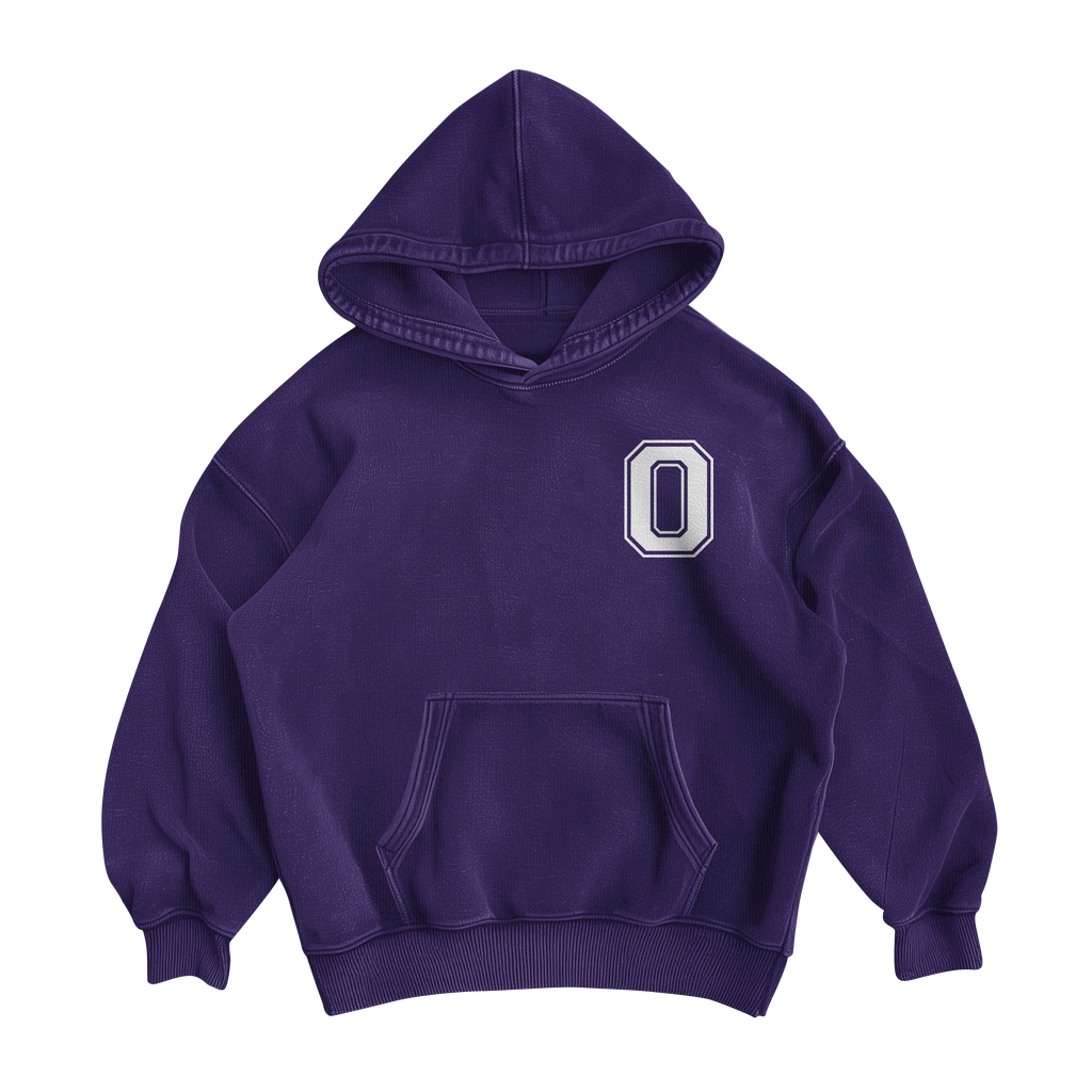 0 DAYS SOBER Hoodie