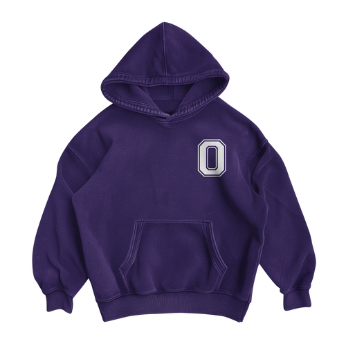 0 DAYS SOBER Hoodie